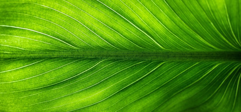Eco-Friendly Projects